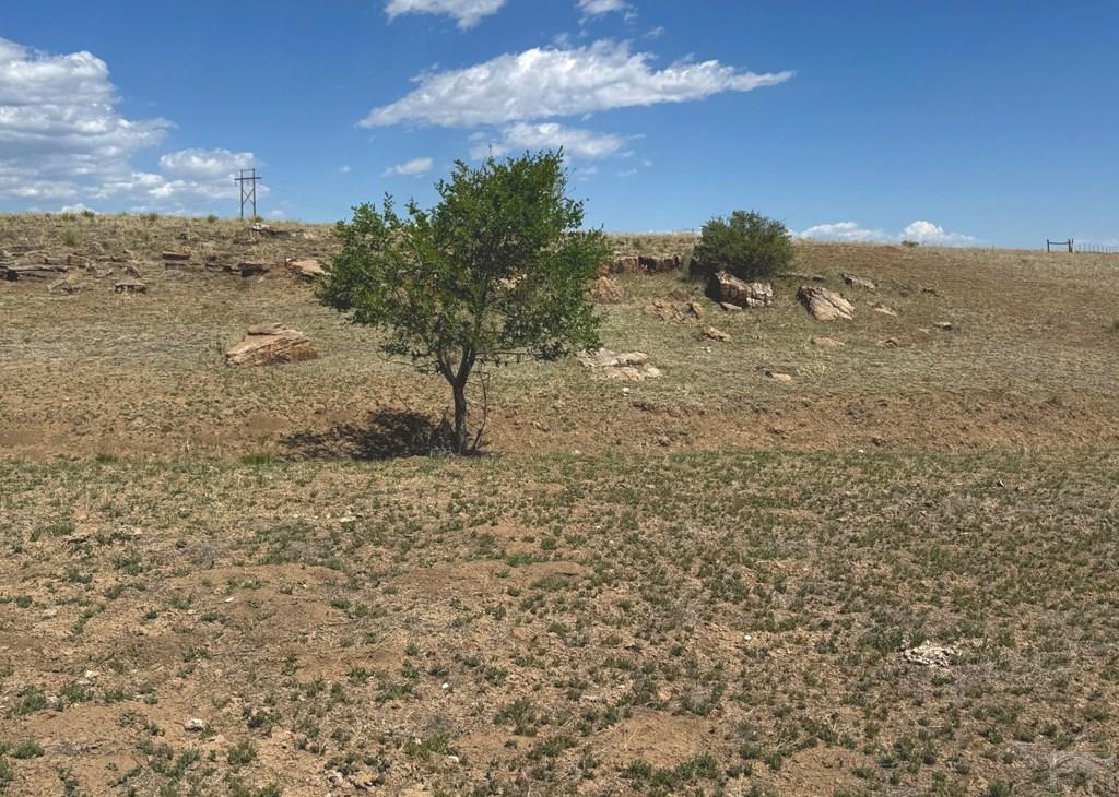 Tbd Lot 13 A Tbd Road Rye, CO 81069 - Photo 15 of 22