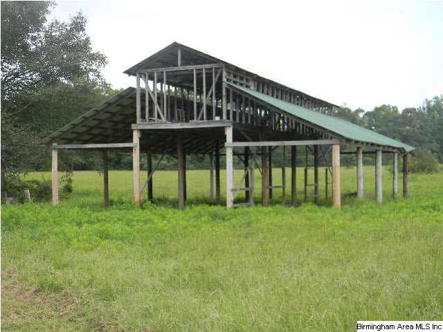 426 County Road 597 Verbena, AL 36091 - Photo 2 of 10