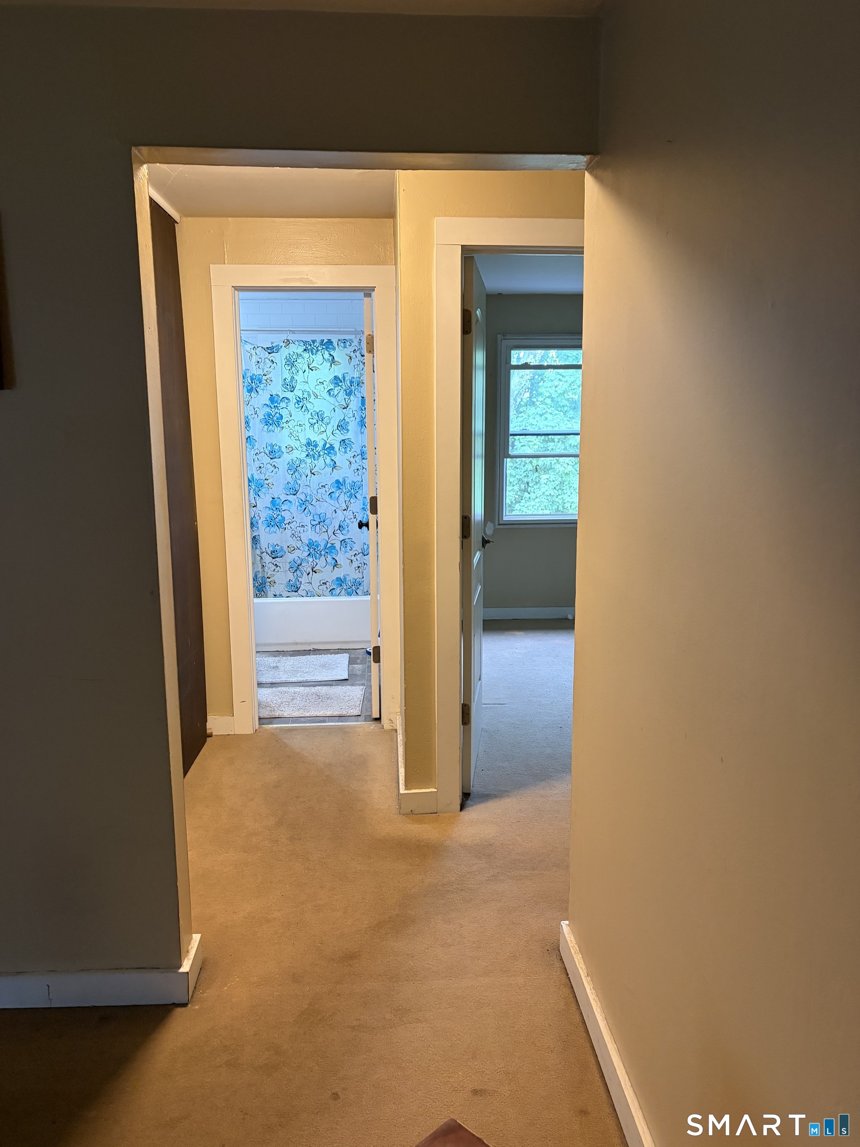 154 Park Street, Unit B2 Manchester, CT 06040 - Photo 6 of 11