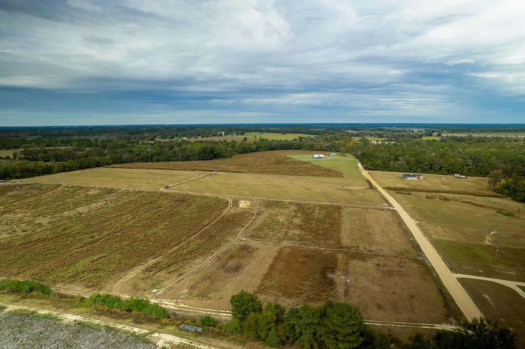 0 J B J B Jackson Road Webb, AL 36376 - Photo 34 of 38