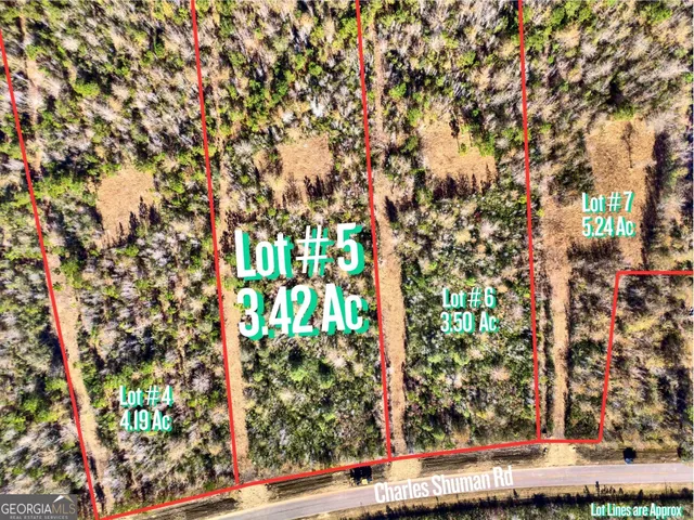$155,000 | Lot 5 Charles Shuman Road, Pembroke, GA 31321