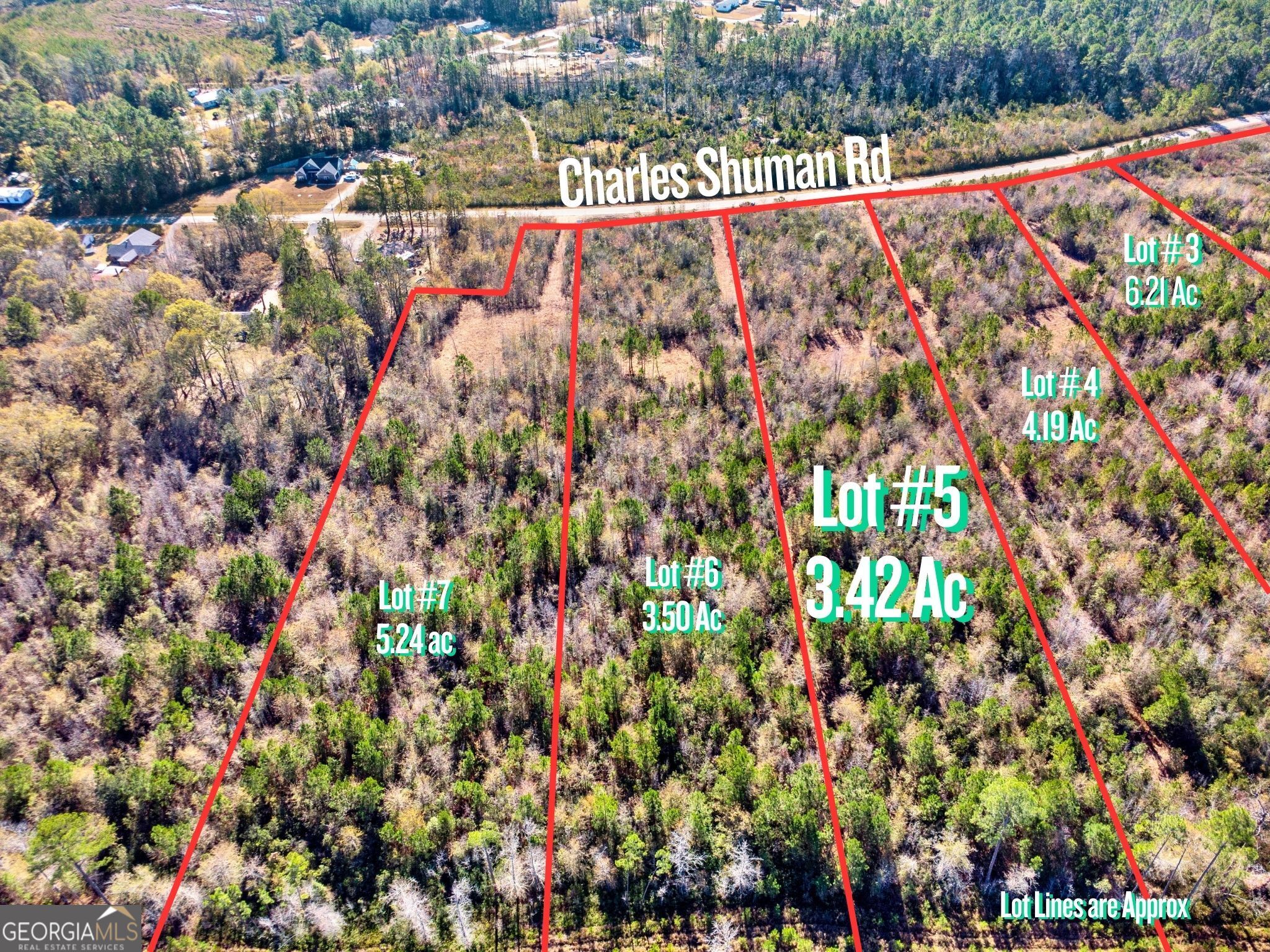 Lot 5 Charles Shuman Road Pembroke, GA 31321 - Photo 2 of 7
