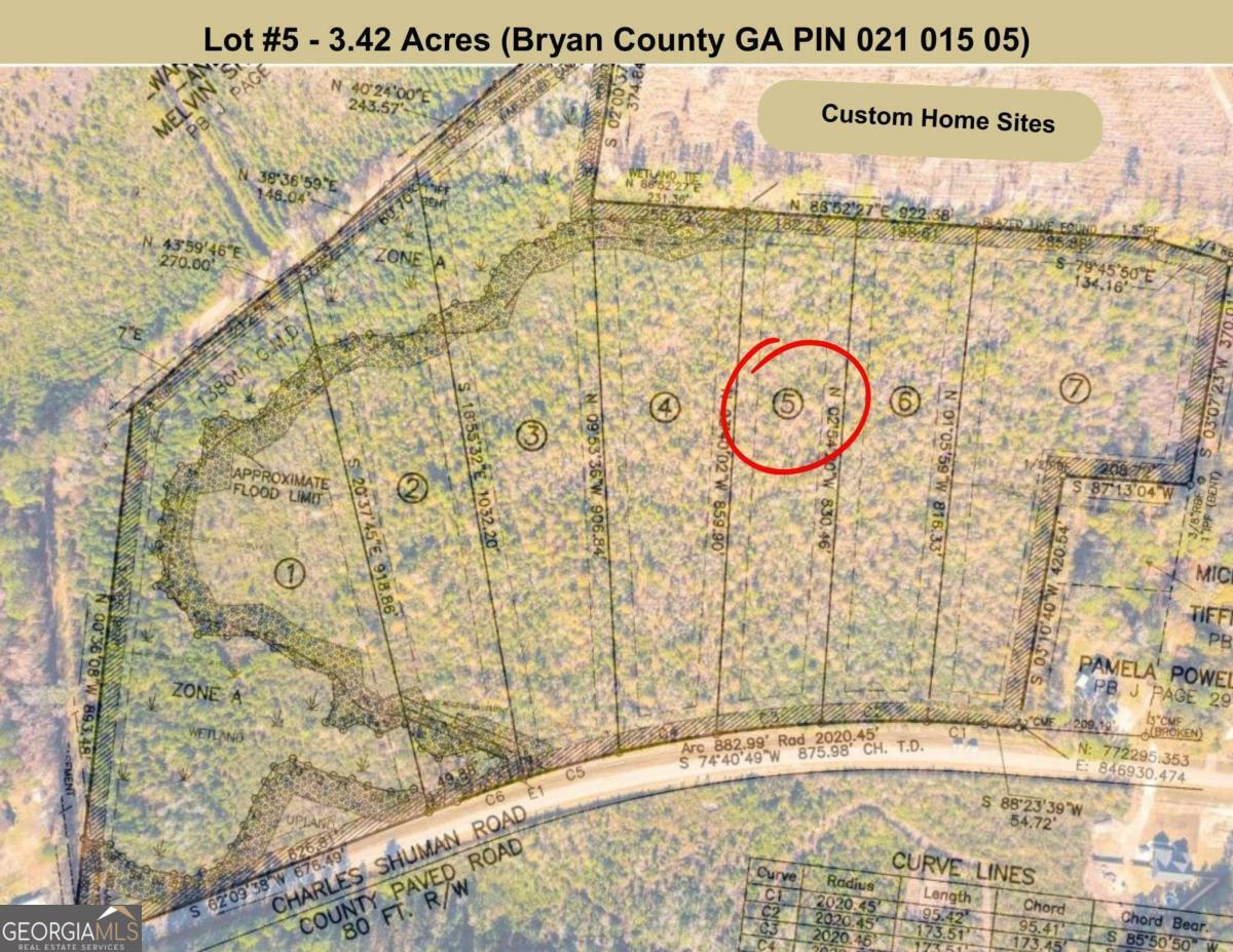 Lot 5 Charles Shuman Road Pembroke, GA 31321 - Photo 6 of 7