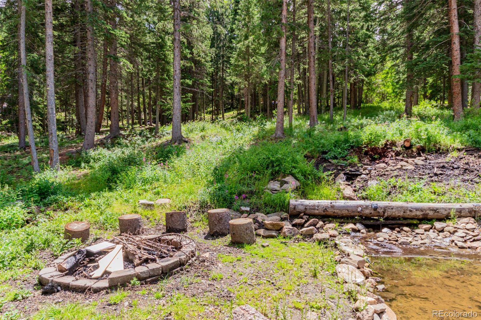 286 Ridge View Trail Idaho Springs, CO 80452 - Photo 4 of 37 Gallery Image 4