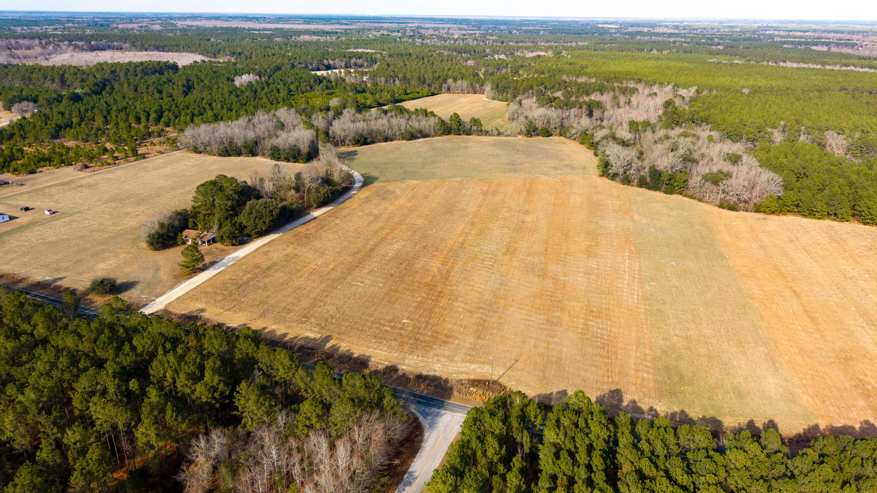 0 Brewer Road Manning, SC 29102 - Photo 12 of 12 Gallery Image 12