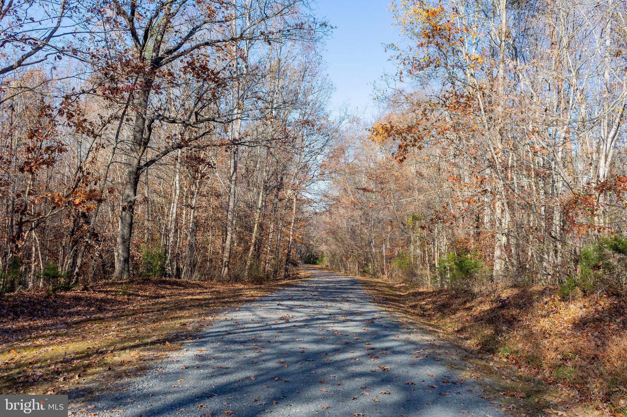 7206 Old Dickersons Road Orange, VA 22960 - Photo 32 of 32 a view of outdoor space with yard