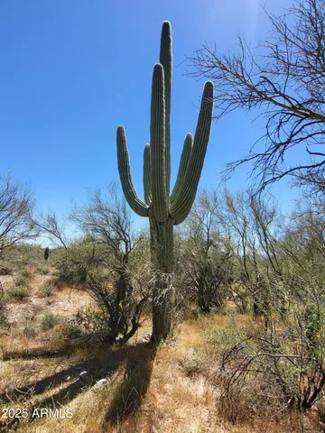 a view of a vase of flowers