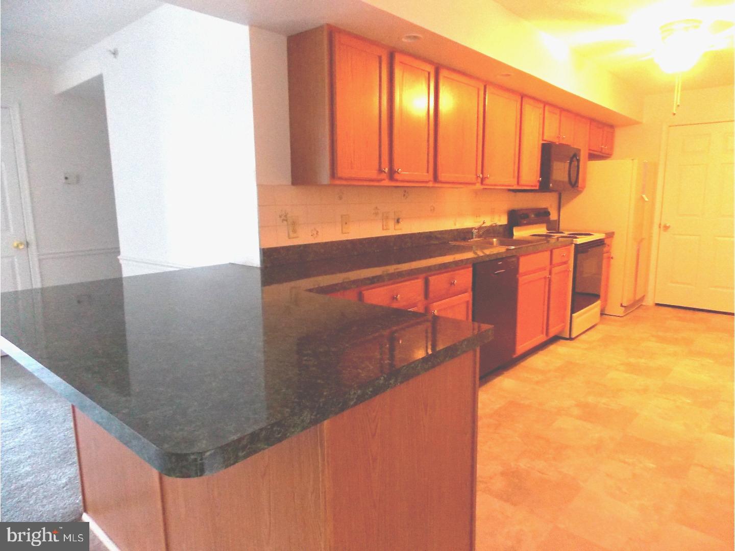 231 Brandon Road Norristown, PA 19403 - Photo 8 of 18 Kitchen