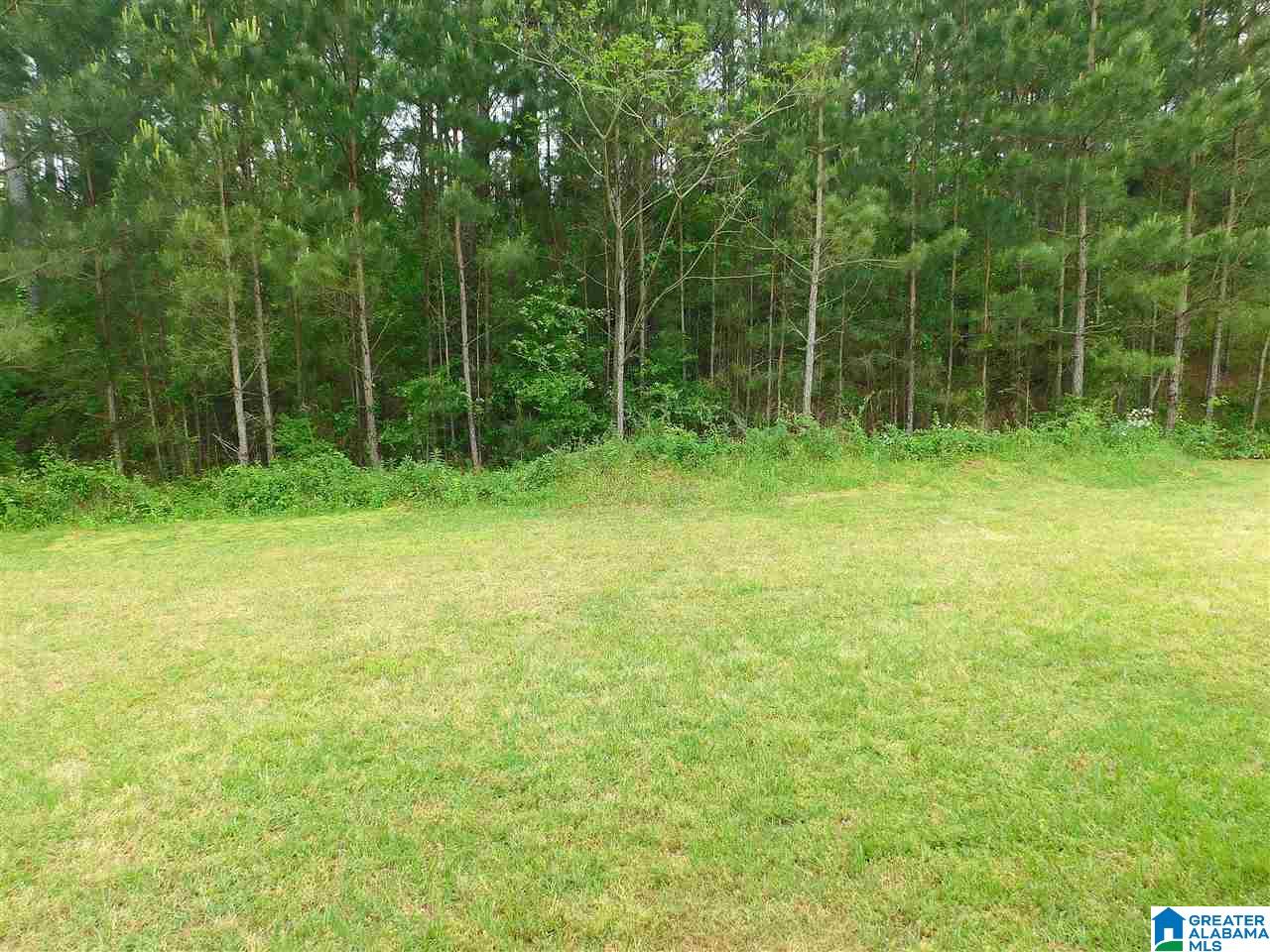 16168 Stone Ridge Parkway Brookwood, AL 35444 - Photo 11 of 11