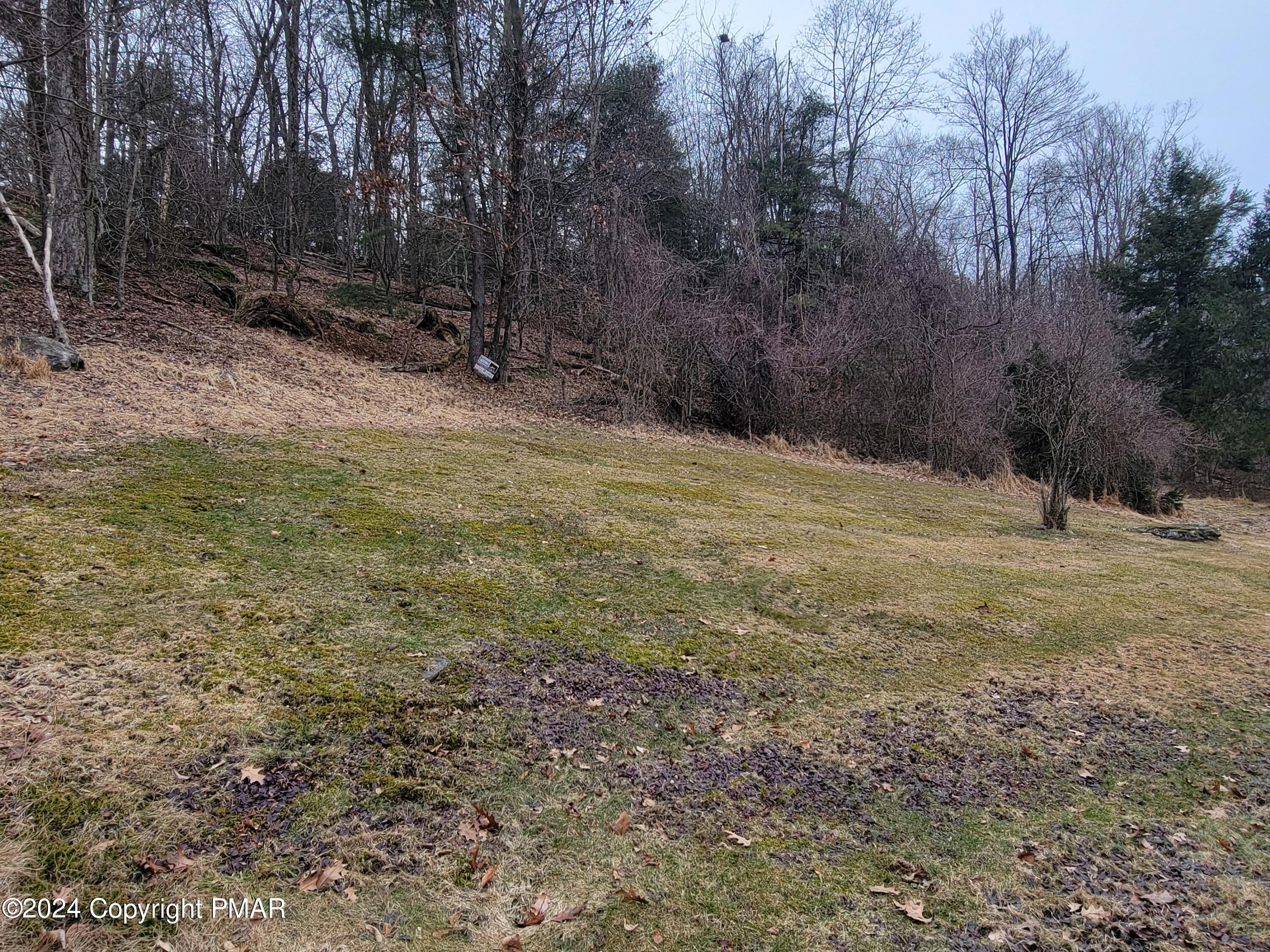 491 Klinger Hill Road Benton, PA 17814 - Photo 61 of 76 a view of outdoor space with trees