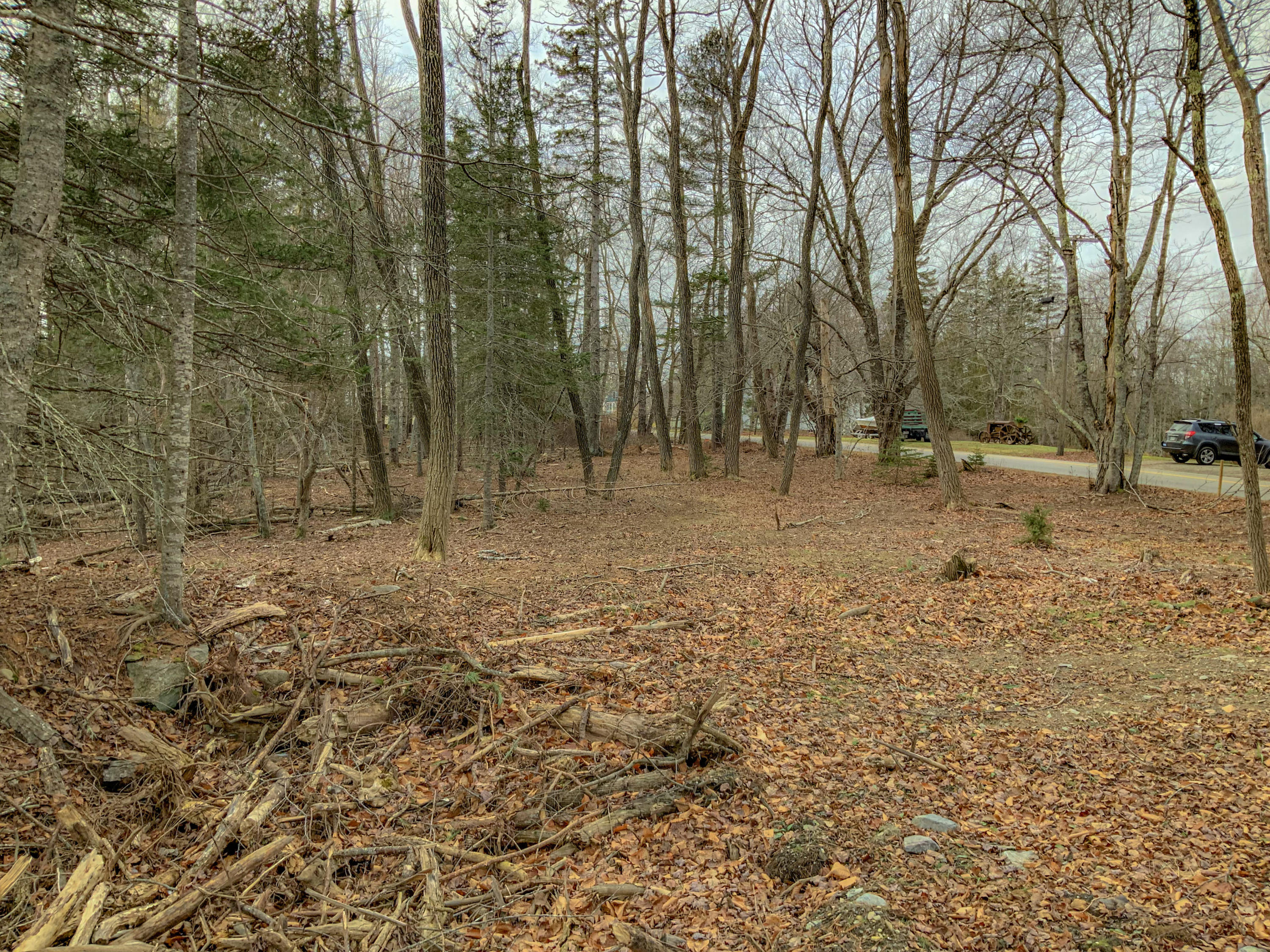 0 Main Road Islesboro, ME 04848 - Photo 31 of 44 41-IMG_0251