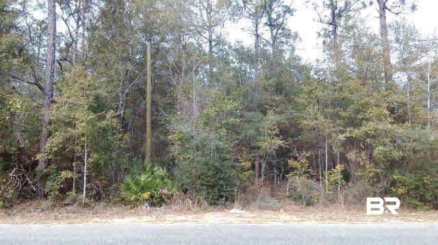 30841 Cypress Street Elberta, AL 36530 - Photo 1 of 1