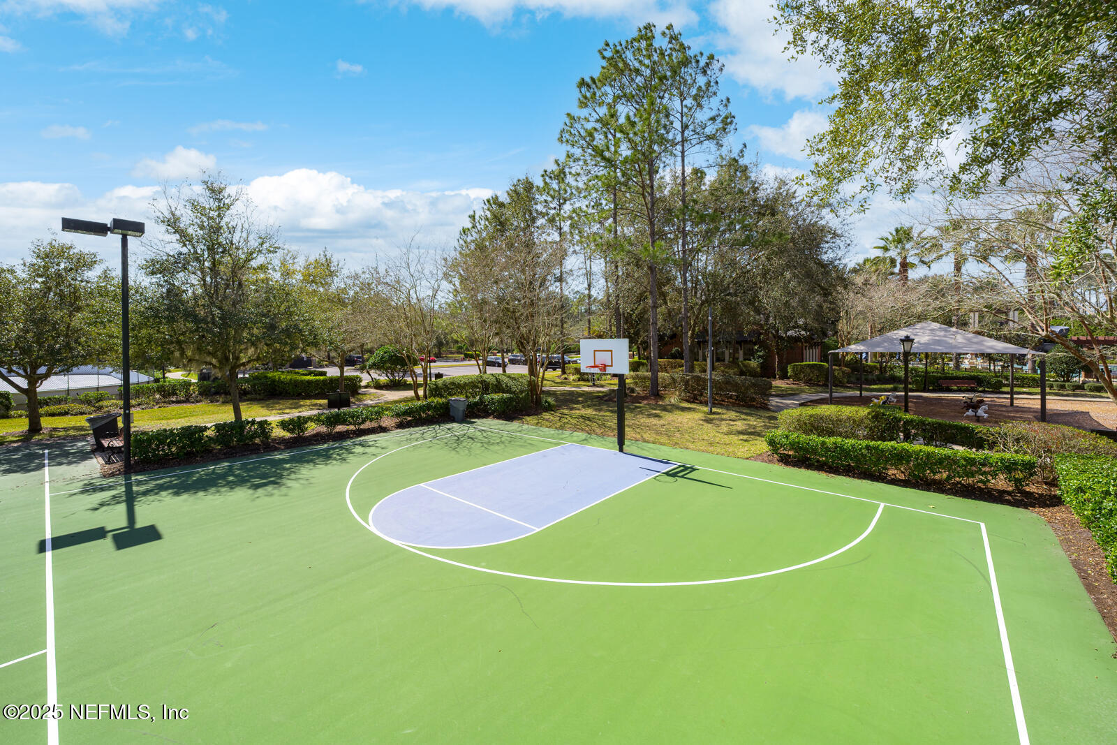 165 St John's Forest Boulevard St. Johns, FL 32259 - Photo 96 of 103 a view of a swimming pool with lawn chairs and a fire pit