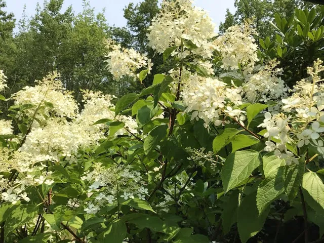 $299,900 | 129 Portland Avenue, Unit 21, Old Orchard Beach, ME 04064