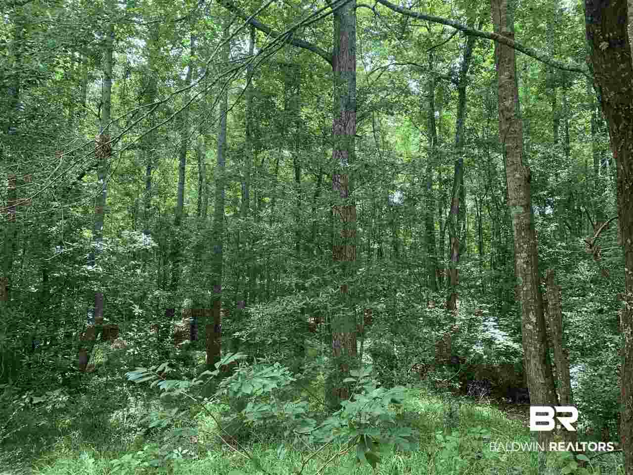 1178 Dry Lake Road Luverne, AL 36049 - Photo 30 of 50