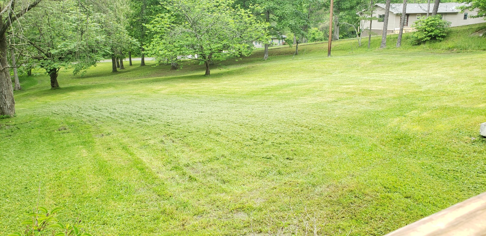 395 Carson Road Helenwood, TN 37755 - Photo 7 of 26 Gallery Image 7