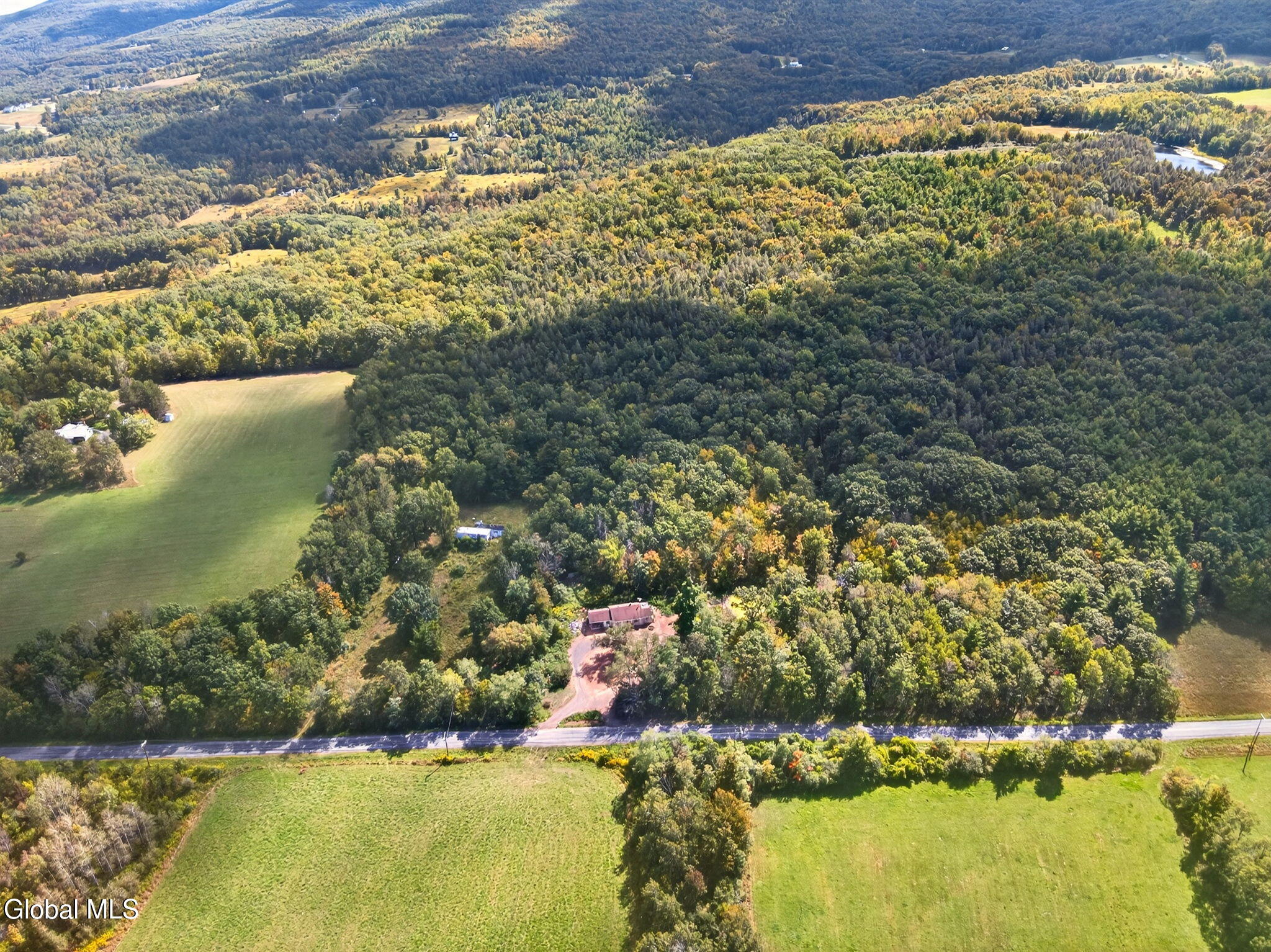 189 Sutton Road Durham, NY 12418 - Photo 11 of 18 Drone 03