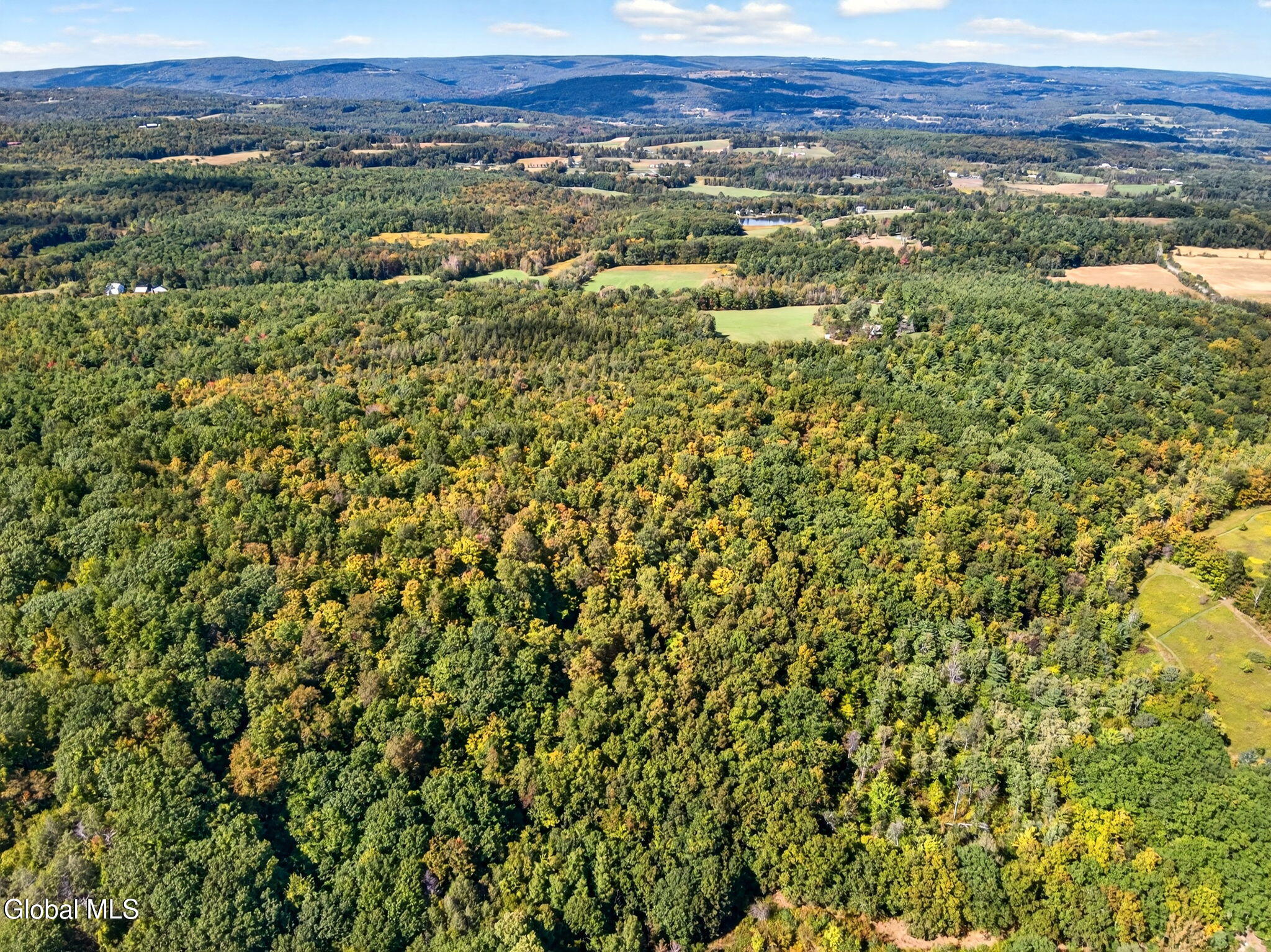189 Sutton Road Durham, NY 12418 - Photo 16 of 18 Drone 07