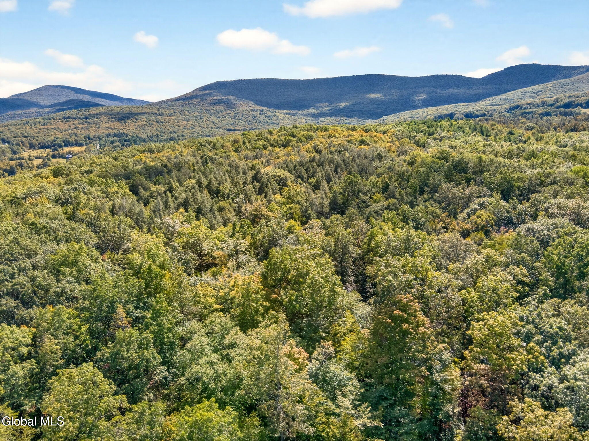 189 Sutton Road Durham, NY 12418 - Photo 17 of 18 Drone 08