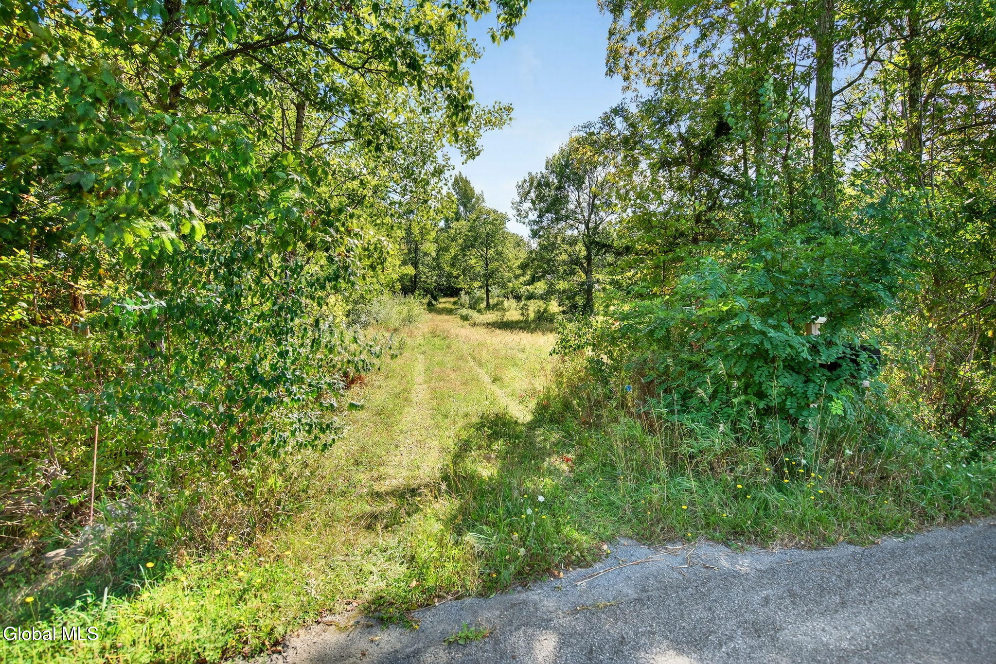 189 Sutton Road Durham, NY 12418 - Photo 4 of 18 Exterior 01