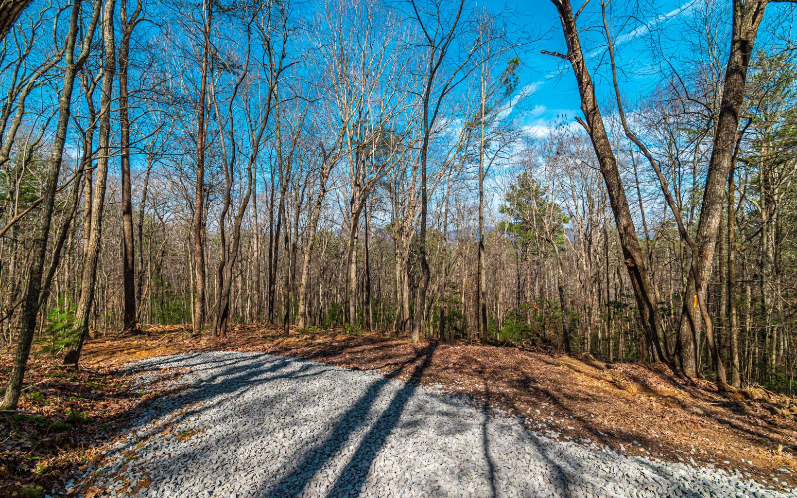 11.06 Piney Spur Road Ellijay, GA 30536 - Photo 1 of 38 Main View
