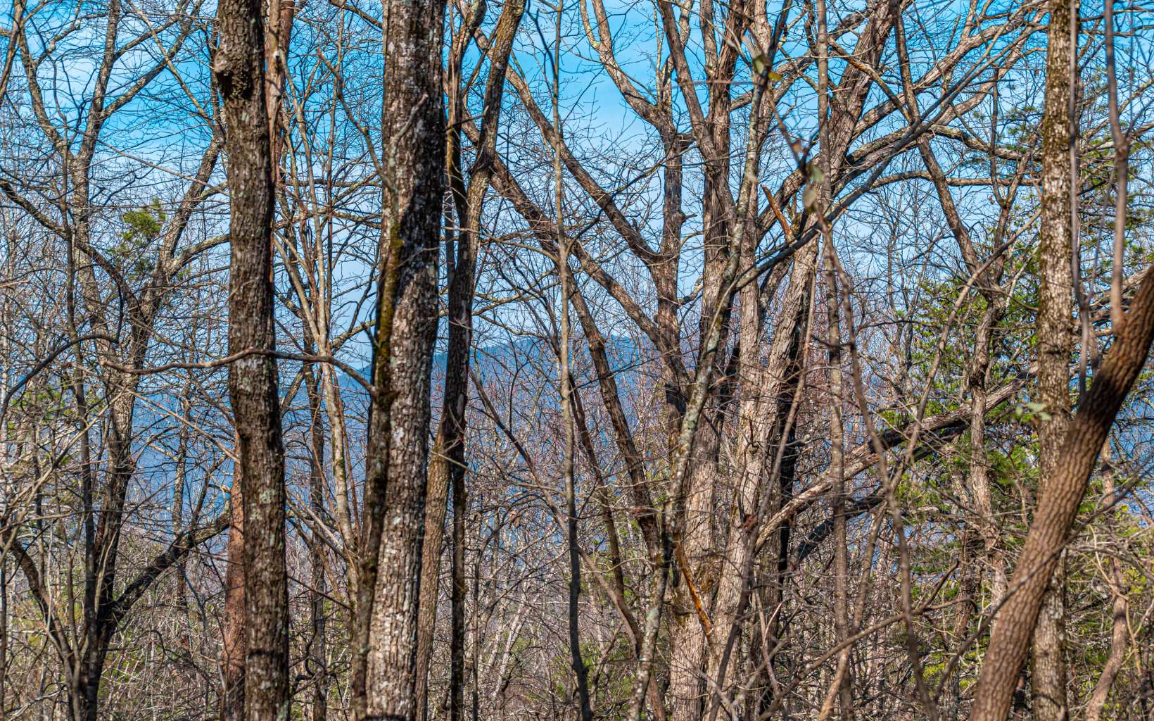 11.06 Piney Spur Road Ellijay, GA 30536 - Photo 15 of 38 Additional View