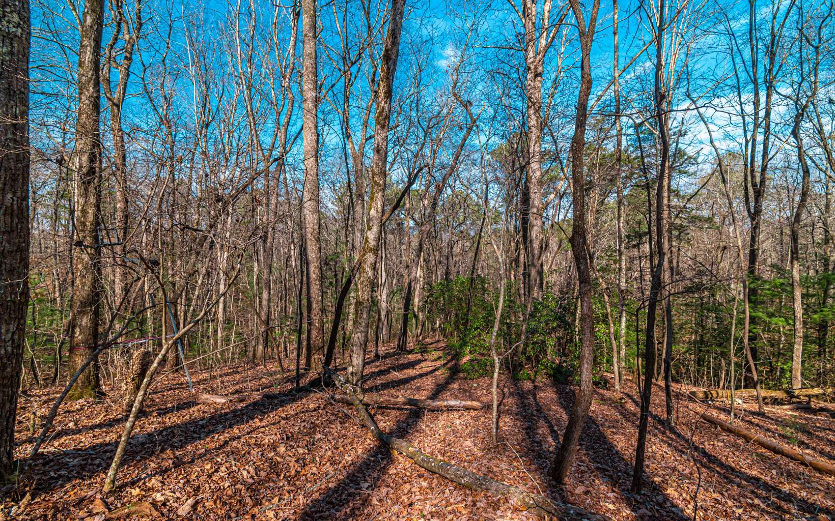 11.06 Piney Spur Road Ellijay, GA 30536 - Photo 16 of 38 Additional View