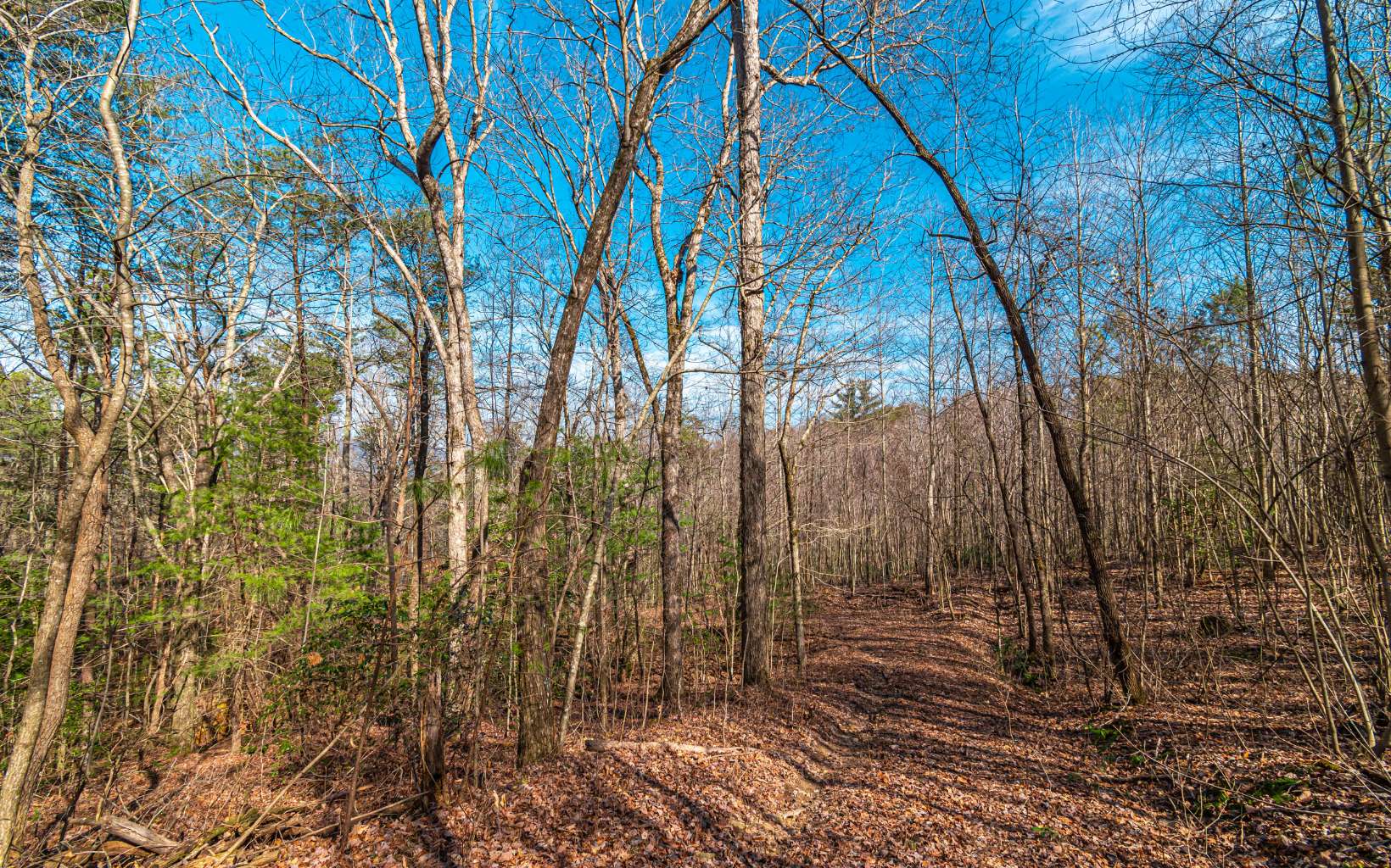 11.06 Piney Spur Road Ellijay, GA 30536 - Photo 17 of 38 Additional View