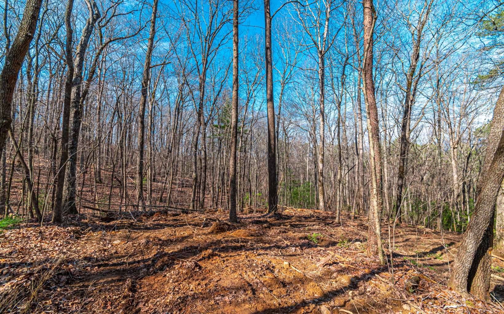 11.06 Piney Spur Road Ellijay, GA 30536 - Photo 19 of 38 Additional View