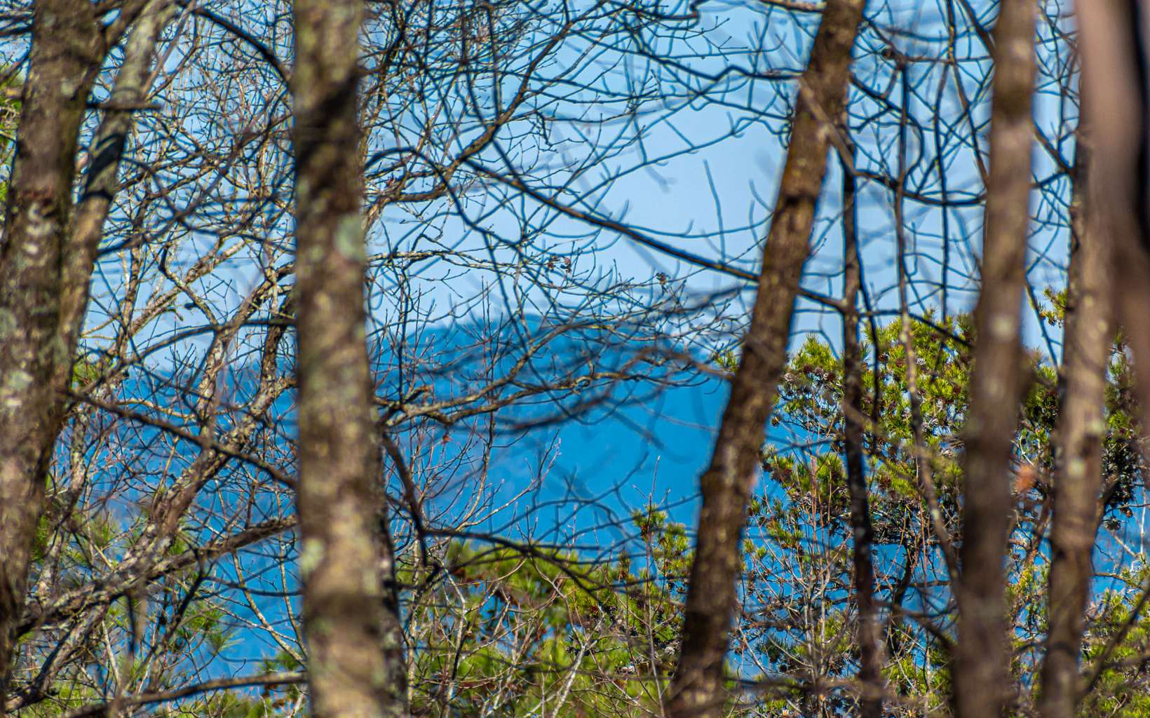 11.06 Piney Spur Road Ellijay, GA 30536 - Photo 2 of 38 Additional View