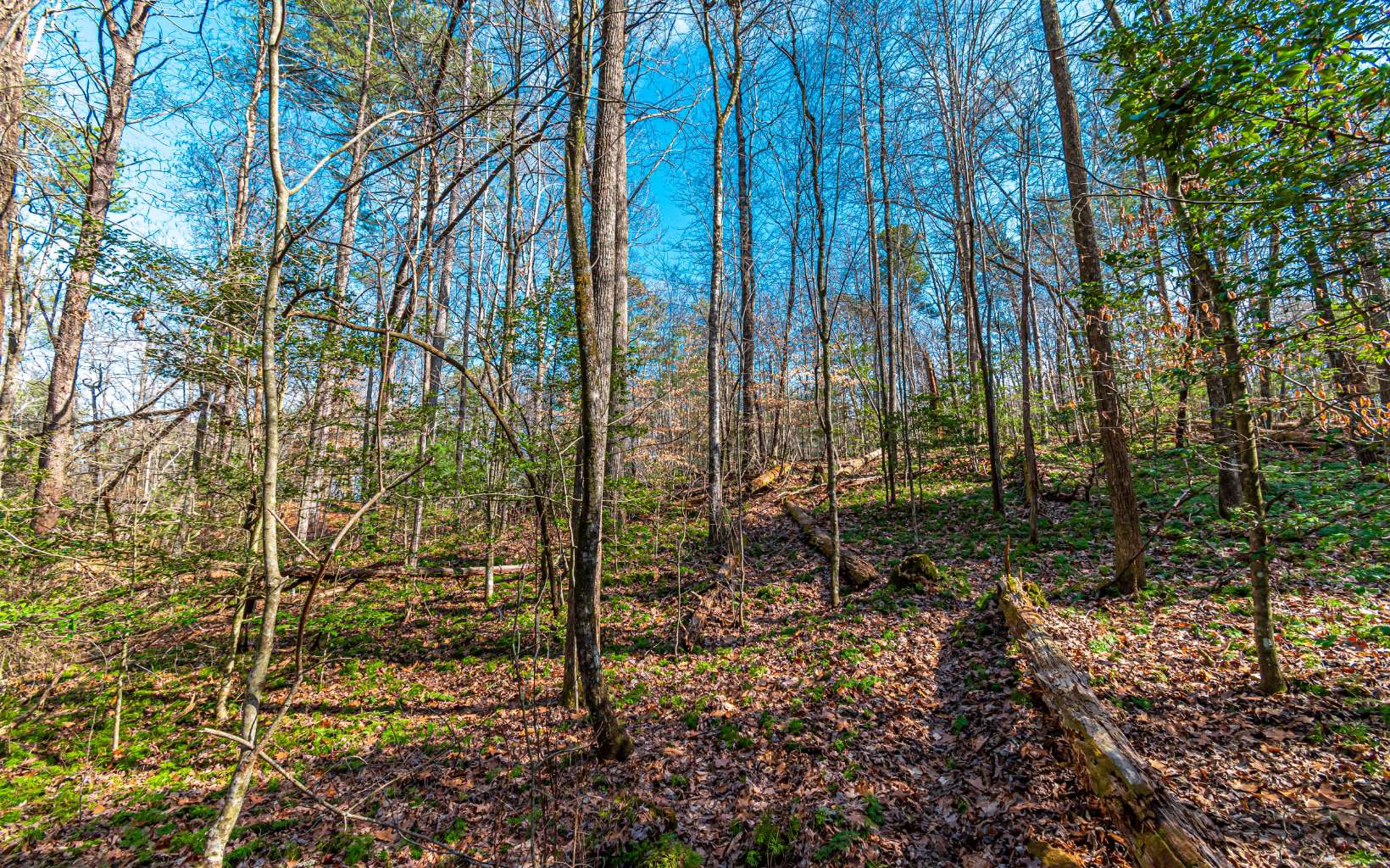 11.06 Piney Spur Road Ellijay, GA 30536 - Photo 22 of 38 Additional View
