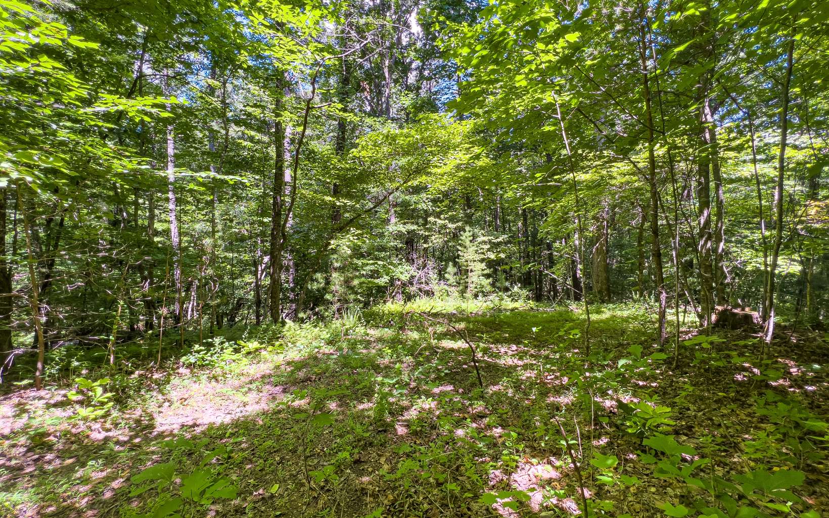 11.06 Piney Spur Road Ellijay, GA 30536 - Photo 24 of 38 Additional View