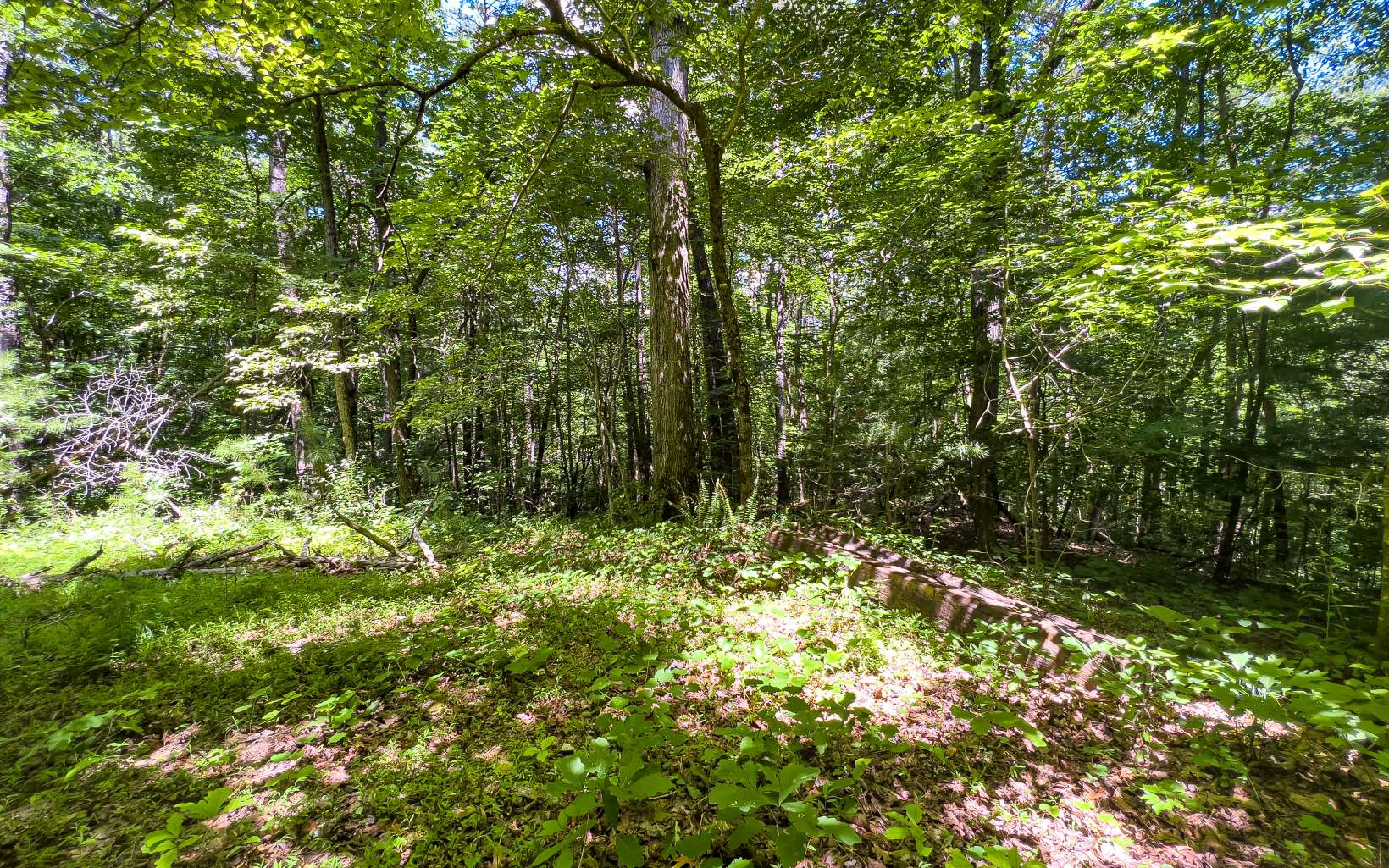 11.06 Piney Spur Road Ellijay, GA 30536 - Photo 25 of 38 Additional View