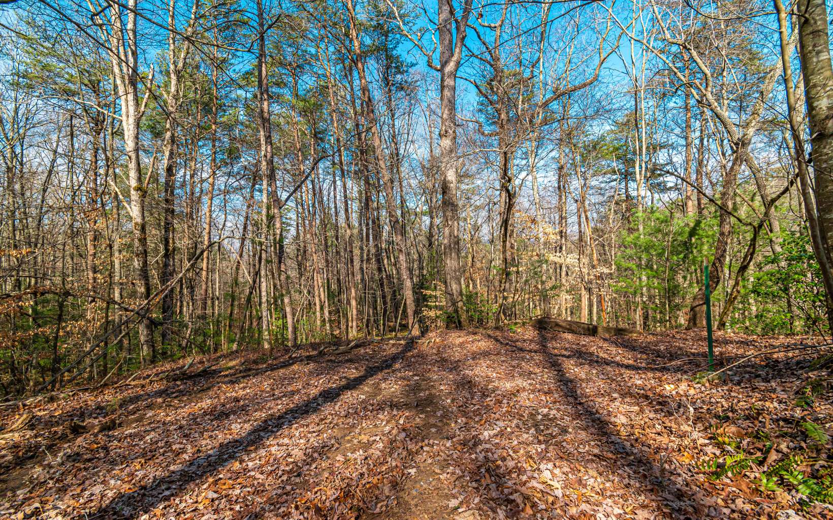 11.06 Piney Spur Road Ellijay, GA 30536 - Photo 3 of 38 Additional View