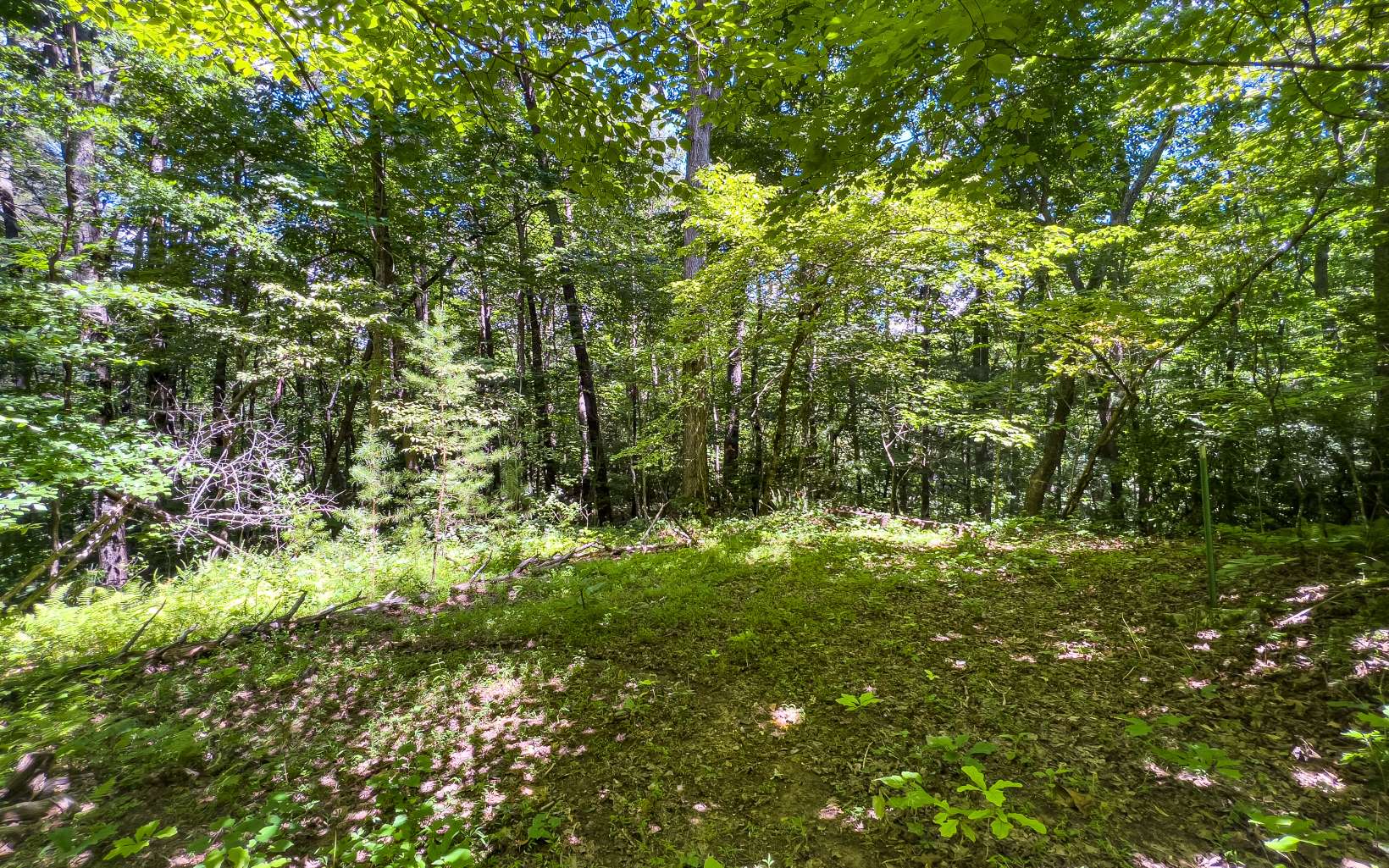 11.06 Piney Spur Road Ellijay, GA 30536 - Photo 31 of 38 Additional View