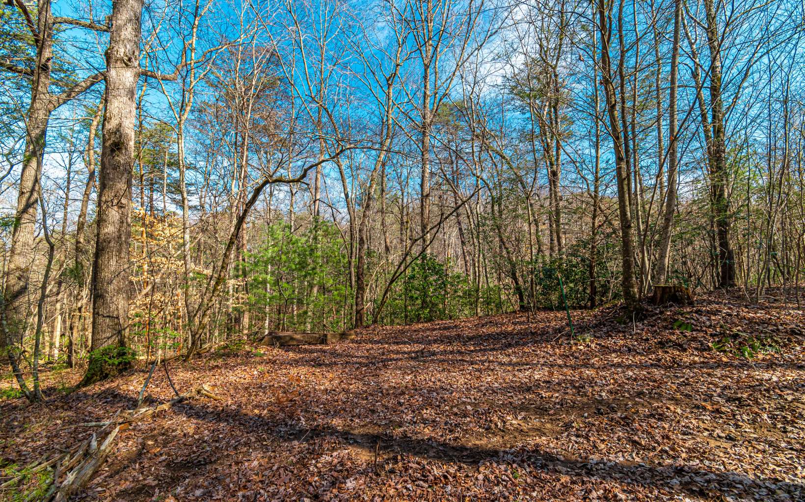11.06 Piney Spur Road Ellijay, GA 30536 - Photo 4 of 38 Additional View