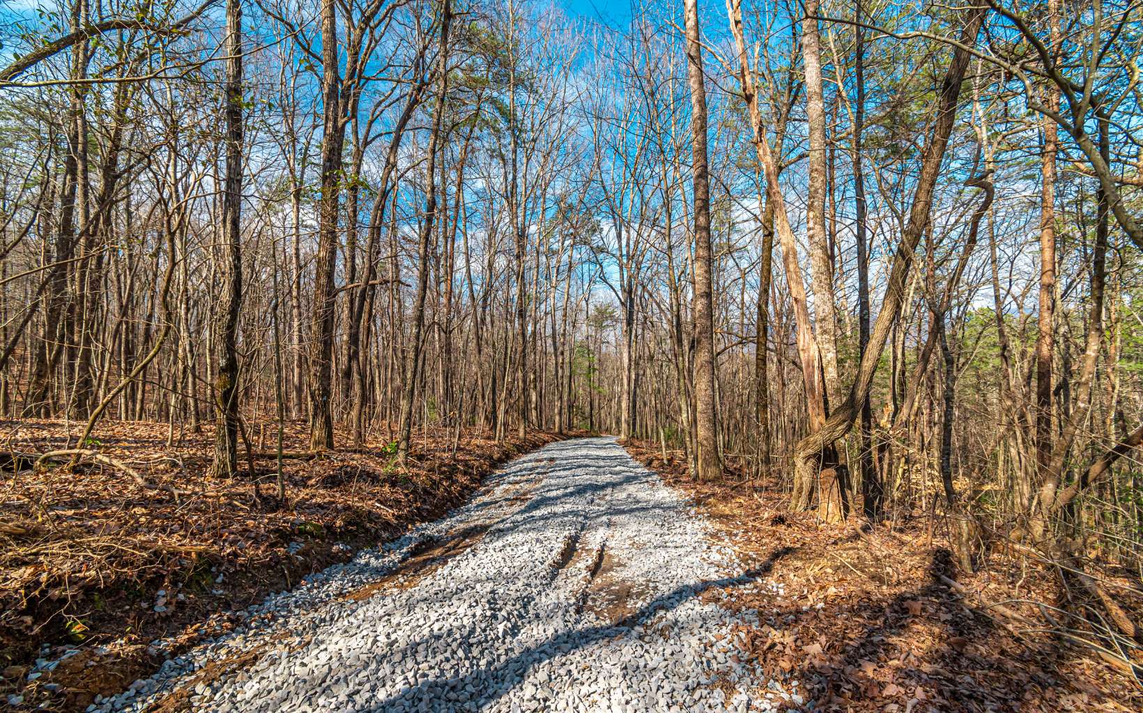 11.06 Piney Spur Road Ellijay, GA 30536 - Photo 5 of 38 Additional View