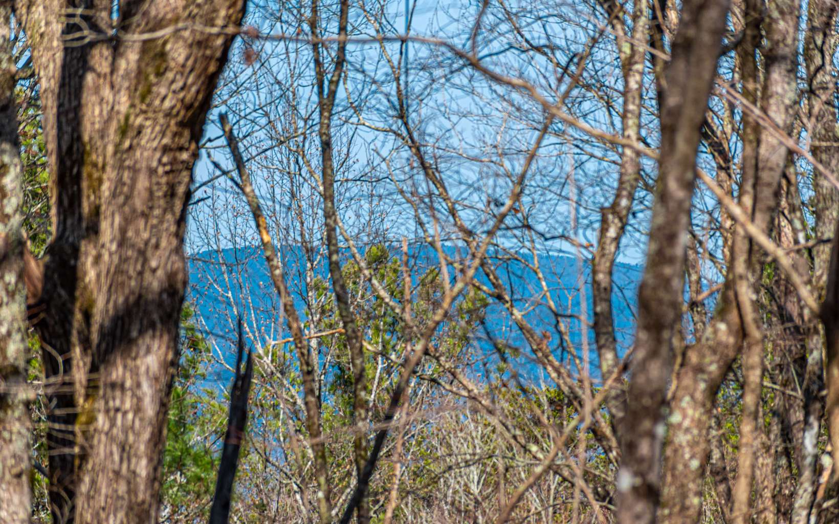 11.06 Piney Spur Road Ellijay, GA 30536 - Photo 7 of 38 Additional View