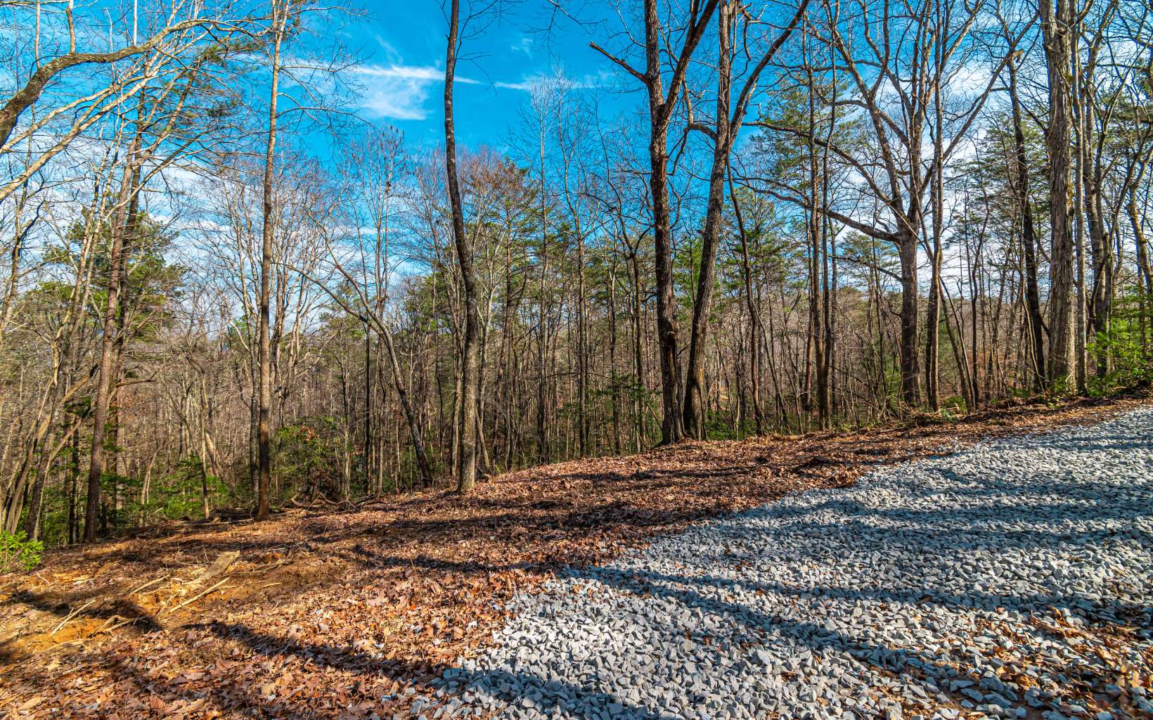 11.06 Piney Spur Road Ellijay, GA 30536 - Photo 8 of 38 Additional View
