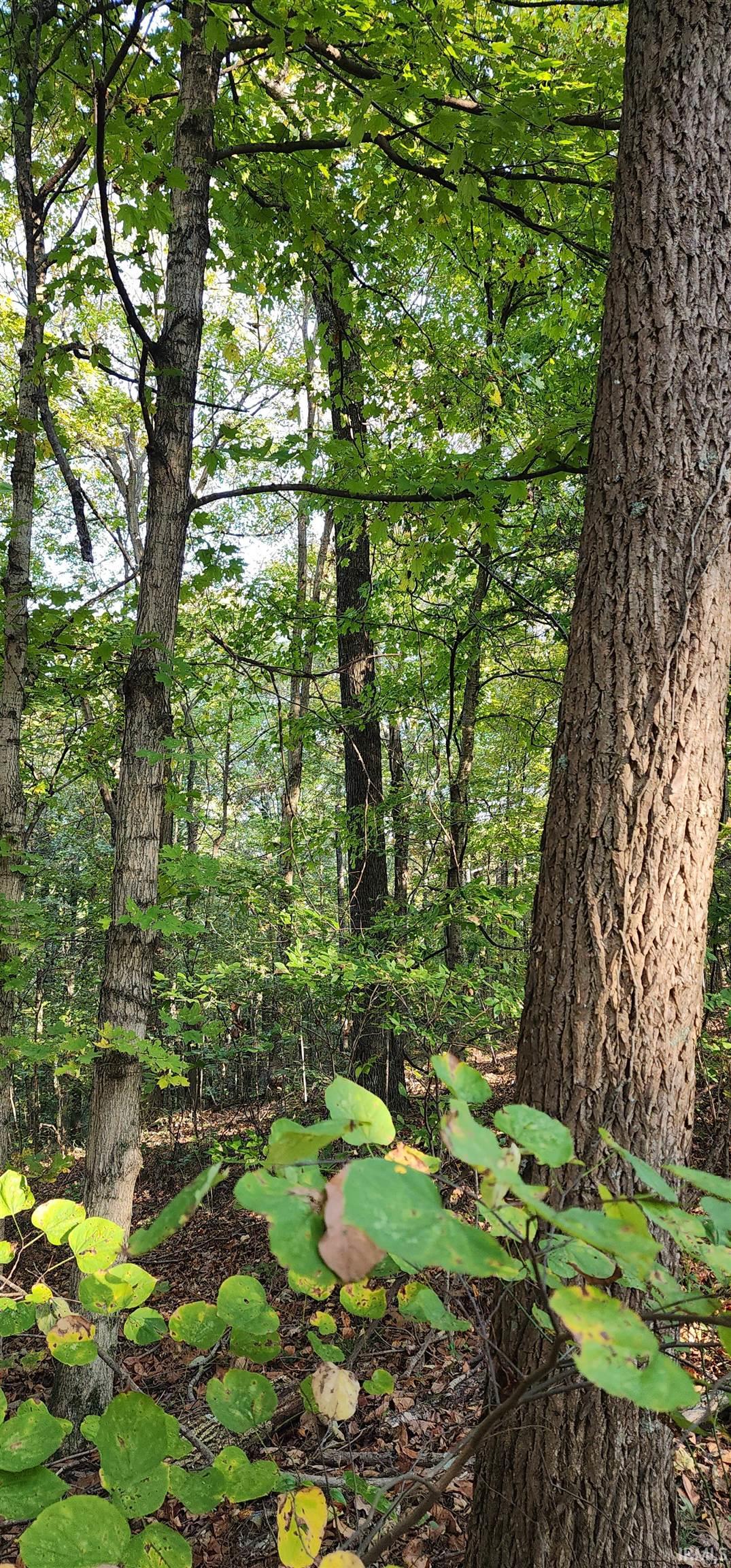 0 Brushy Fork Road Tell City, IN 47586 - Photo 13 of 30