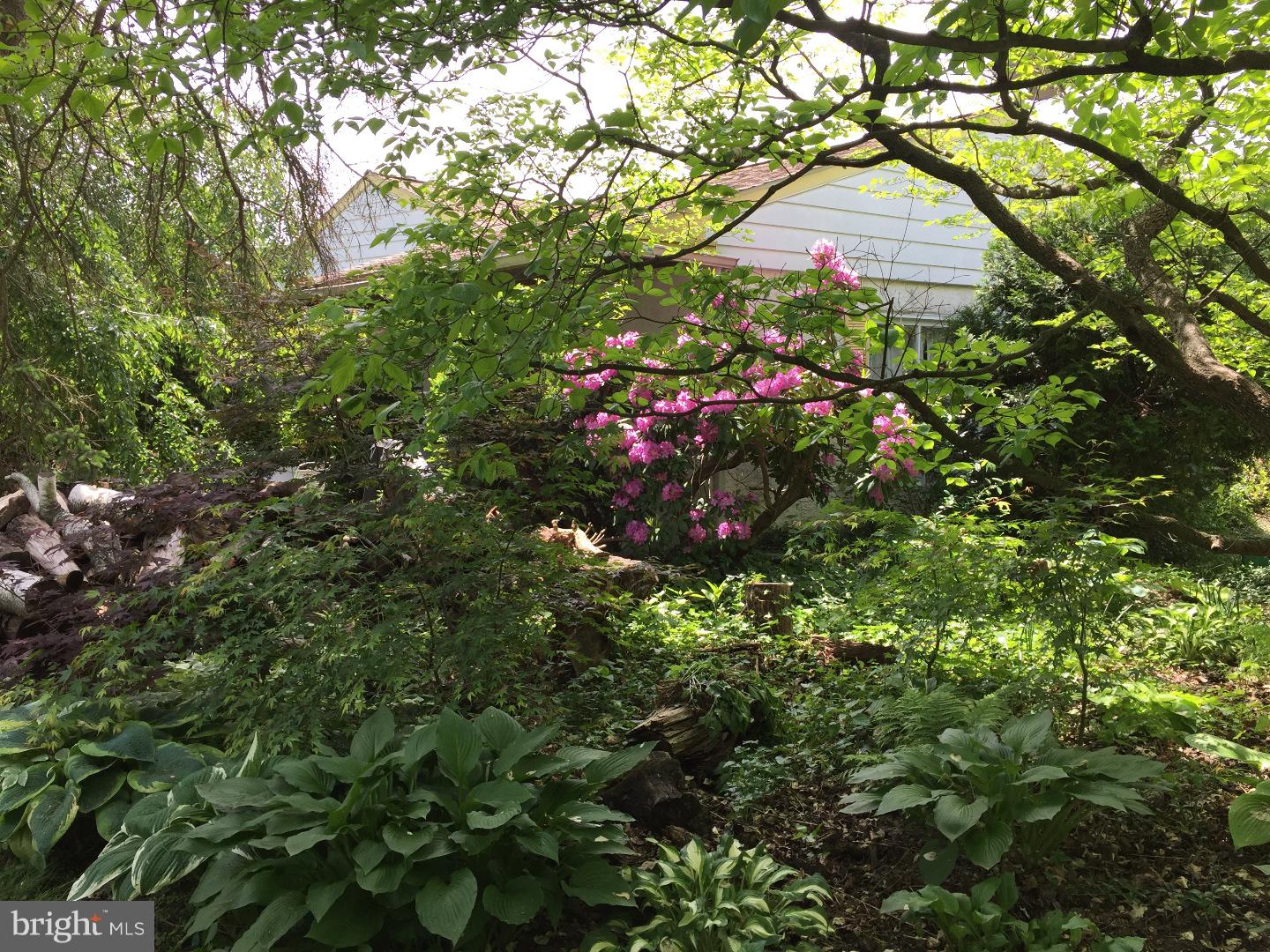 1221 Glenbrook Road Huntingdon Valley, PA 19006 - Photo 13 of 14 Gallery Image 13