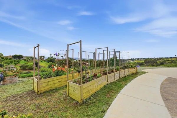 a view of a swimming pool with a yard
