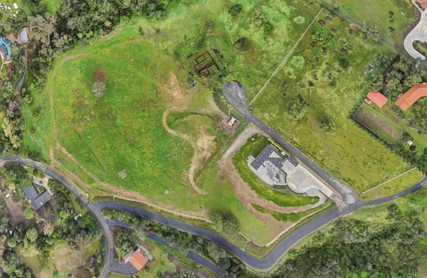 a view of a house with a yard and potted plants