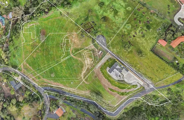a view of a backyard with table and chairs potted plants and a large tree