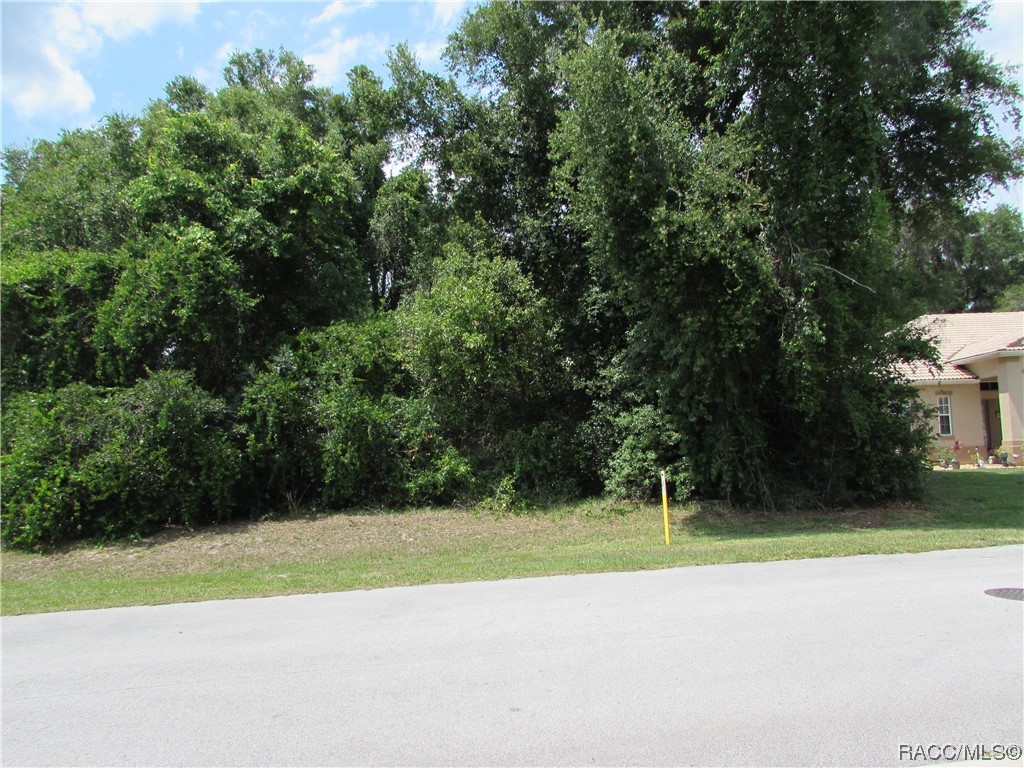 2852 North Appledore Path Hernando, FL 34442 - Photo 4 of 6 a view of a tennis court