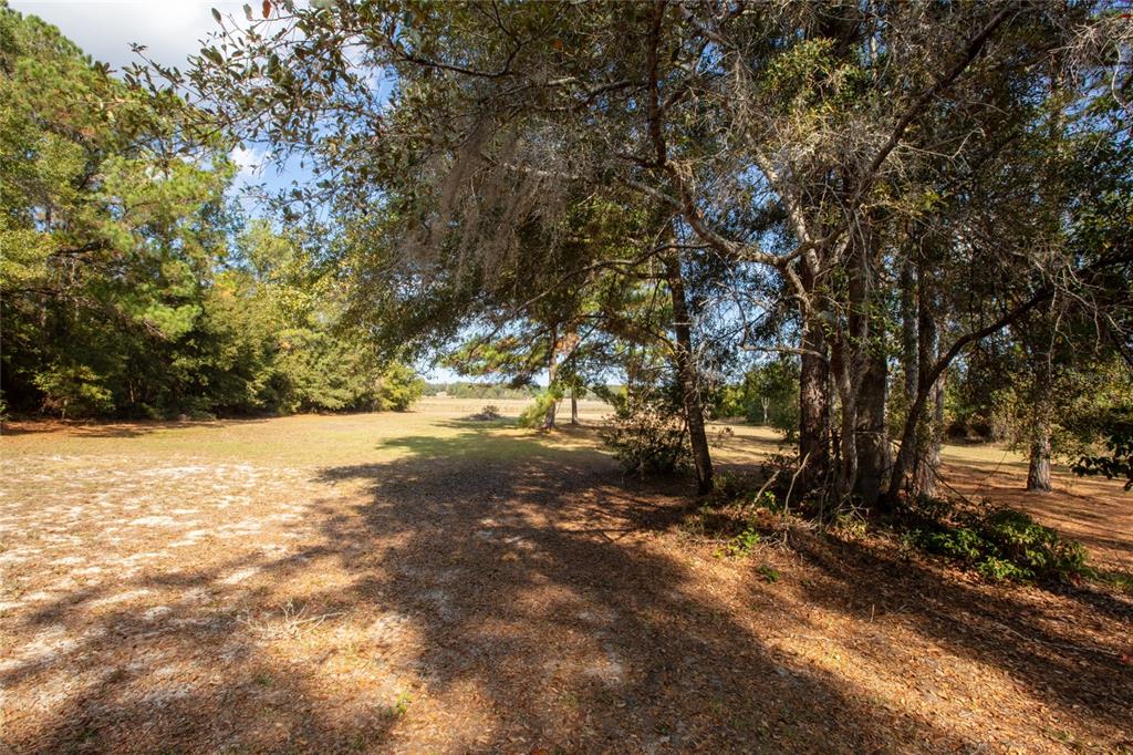 730 Highway 26 Melrose, FL 32666 - Photo 19 of 80