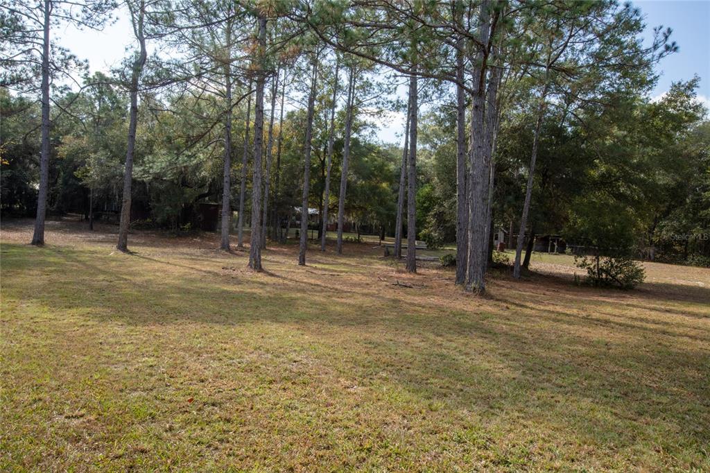 730 Highway 26 Melrose, FL 32666 - Photo 23 of 80 a backyard of a house with lots of green space