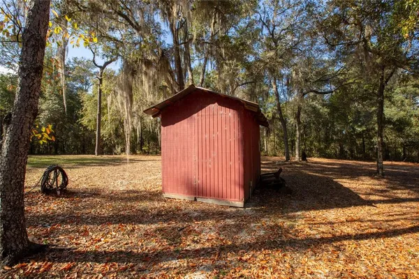 a view of a yard with a tree