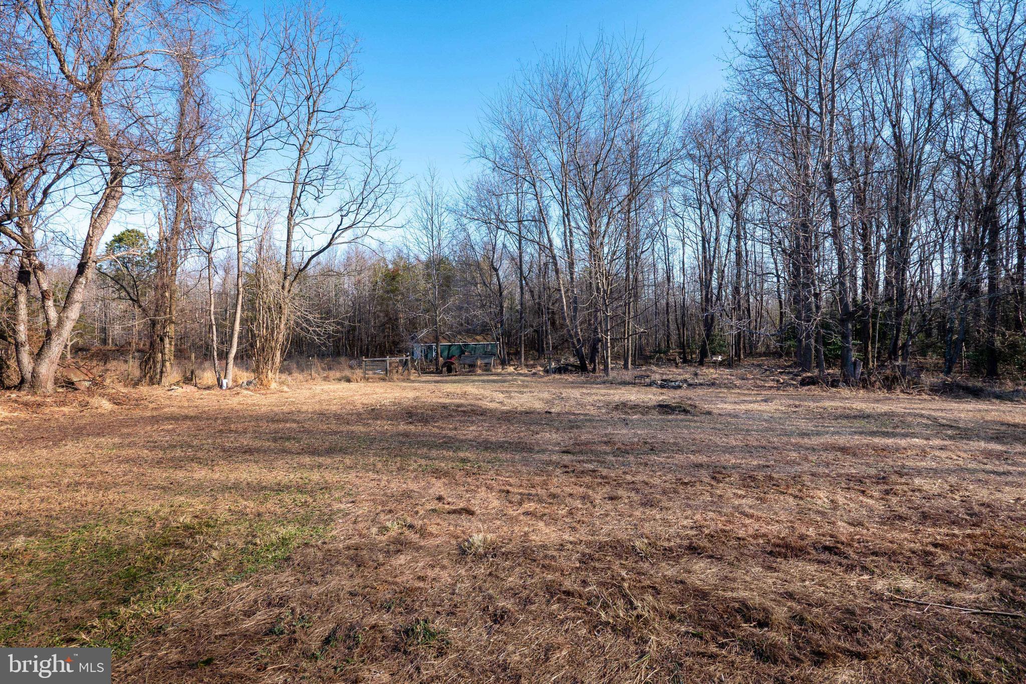 17827 Horsehead Road Brandywine, MD 20613 - Photo 29 of 43 Property continues deep into the woods.