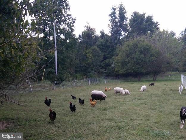 17827 Horsehead Road Brandywine, MD 20613 - Photo 36 of 43 Home can be perfect for livestock